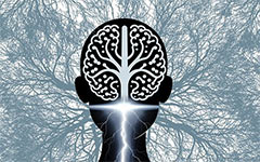 mental agility